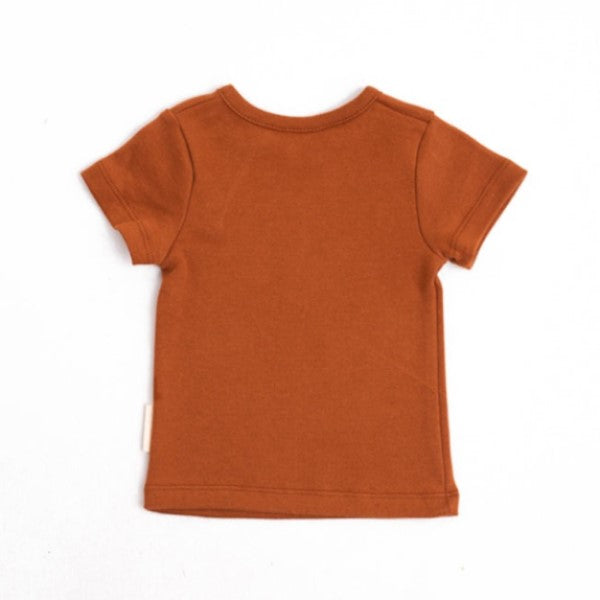 Basil Organic Basic Top