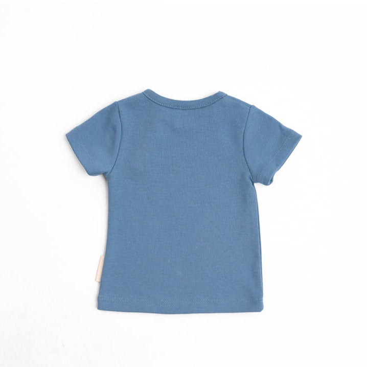 Basil biologische top