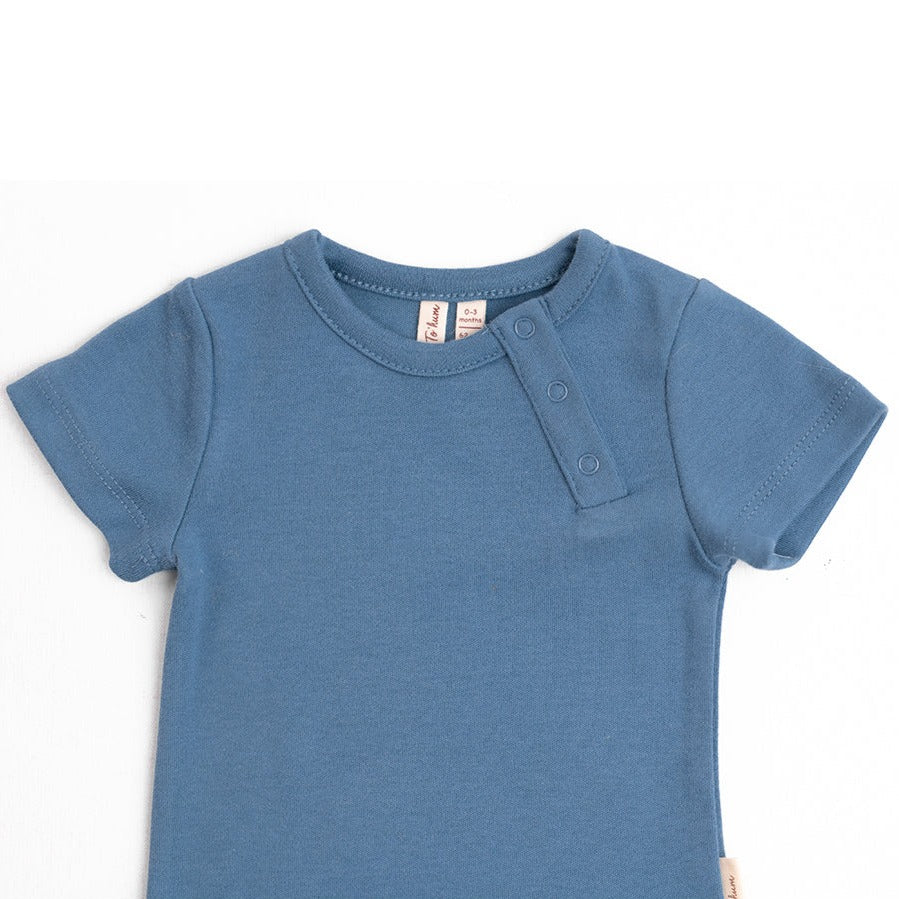 Basil biologische top