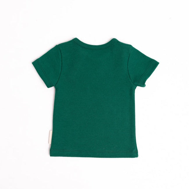 Basil Organic Basic Top