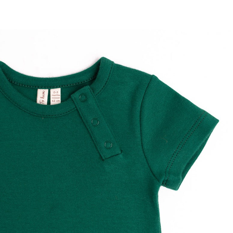 Basil biologische top